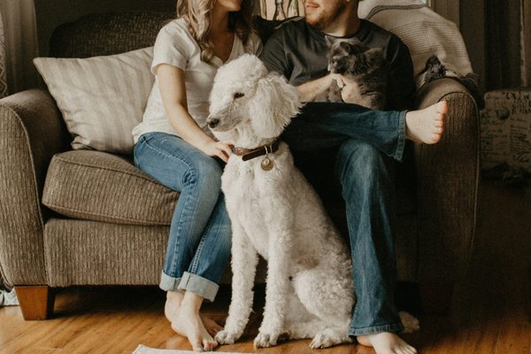 What are the best breeds of dogs for apartment living?
